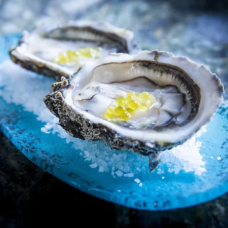 Ohla Eixample Otel Barselona